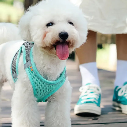 反射性と通気性に優れた調節可能な犬用ハーネス