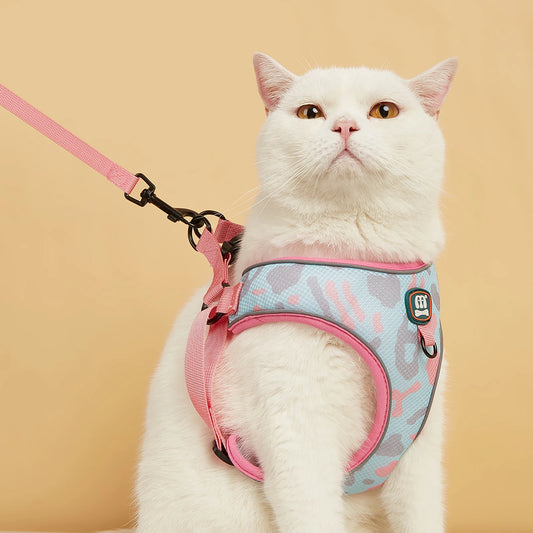 Adjustable Soft Mesh With Fashionable Harness And Leash Set