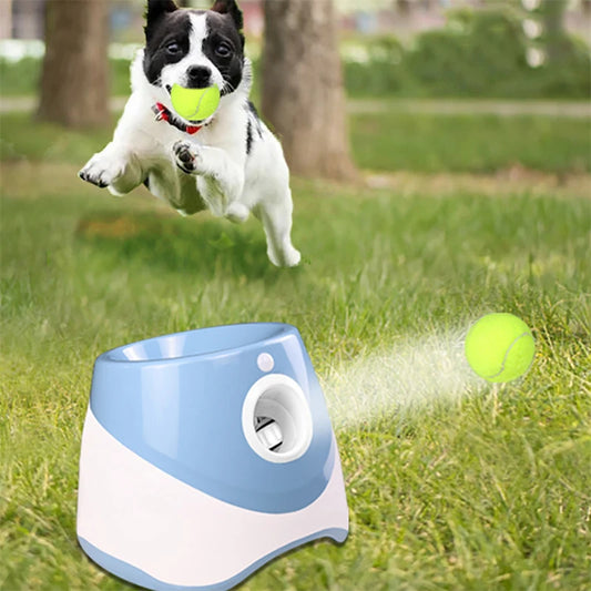 Automatic Pet Dogs Chase Toy