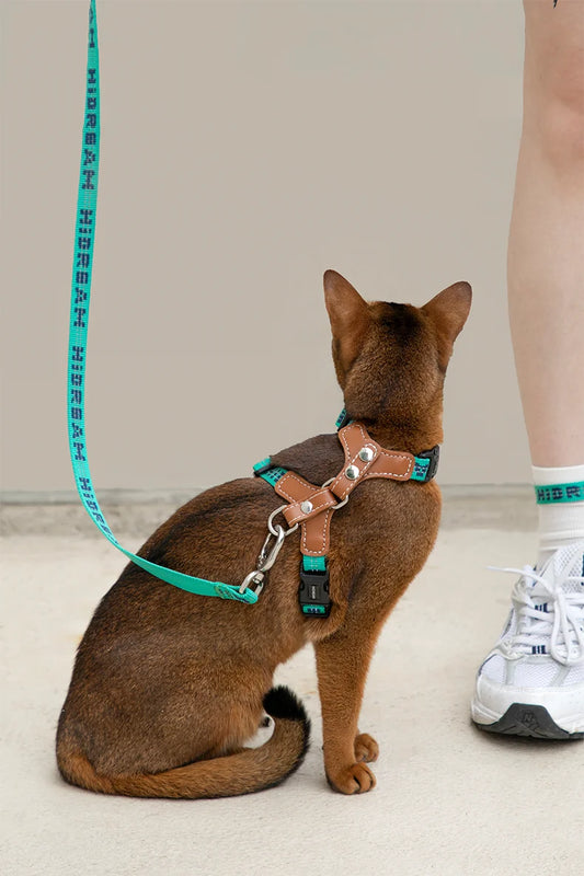 Comfortable Reflective I-font Structure Cat Harnesses Suspenders Set